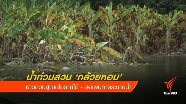 วอนเพิ่มระบายน้ำ "เขื่อนเพชร" ชาวสวนเดือดร้อน 