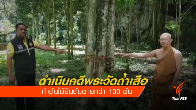 ดำเนินคดีพระวัดถ้ำเสือ ทำต้นไม้ยืนต้นตายกว่า 100 ต้น