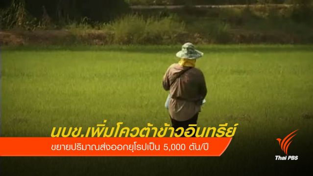 นบข.เห็นชอบเพิ่มโควต้าส่งออกข้าวอินทรีย์ 5 พันตัน