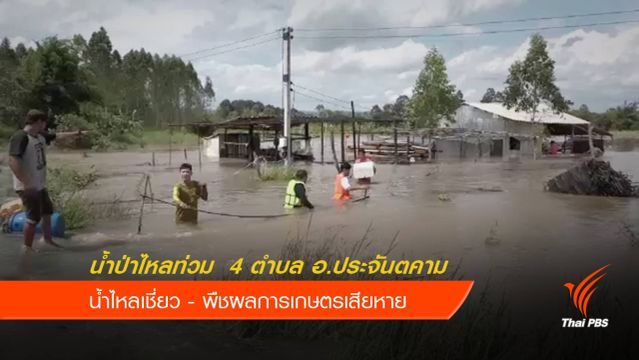 น้ำป่าเขาใหญ่ไหลหลากท่วม อ.ประจันตคาม 