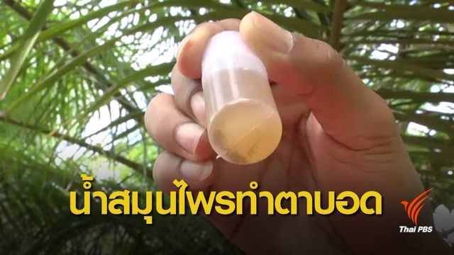 สอบปากคำหาสาเหตุ หญิง “ตาบอด” ต้นเหตุน้ำสมุนไพรจริงหรือ