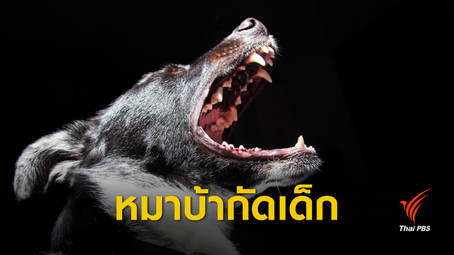 ช็อก ผลตรวจ "หมา" กัดเด็กอายุ 19 วันมีเชื้อพิษสุนัขบ้า