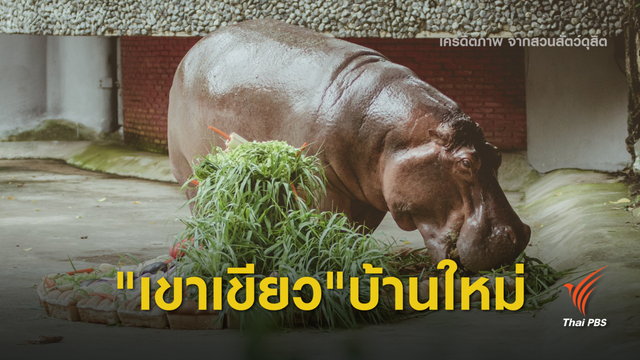 เคาะแผนย้าย "แม่มะลิ" อยู่เขาเขียว 