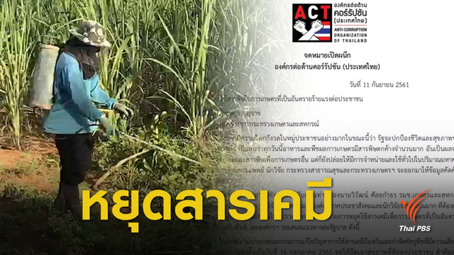 จี้รัฐบาลยุติ 3 สารเคมี-เปิดชื่อเอกชนเอี่ยวผลประโยชน์