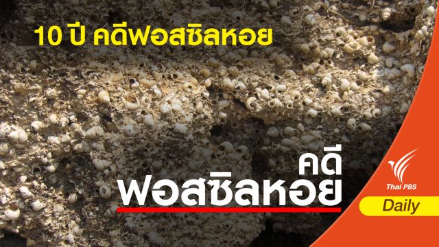 ย้อน 10 ปี คดีฟอสซิลหอย อายุ 13 ล้านปี   