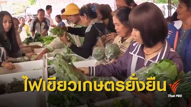 ครม.ไฟเขียวร่าง พ.ร.บ.เกษตรกรรมยั่งยืน
