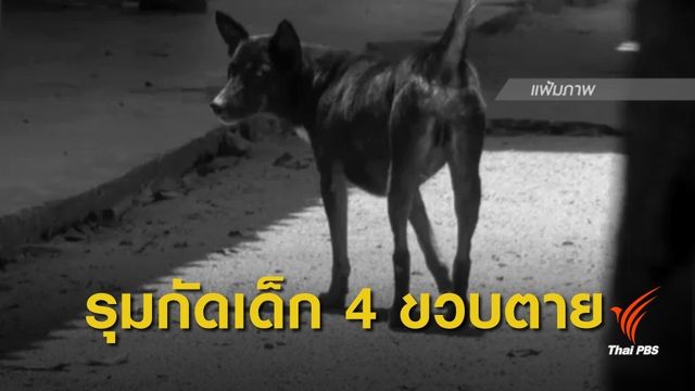 สุนัข 3 ตัว รุมกัด "เด็ก 4 ขวบ" เสียชีวิต 