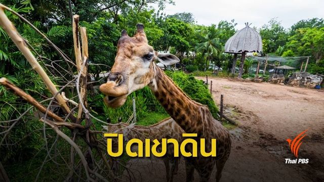 3.6 หมื่นคนร่วมปิดตำนาน "เขาดิน" วันสุดท้าย 