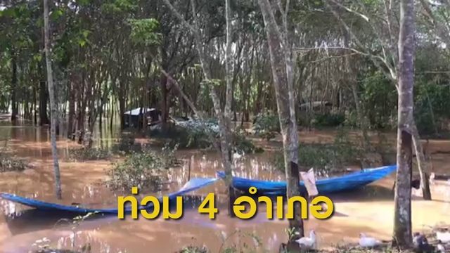พบร่างผู้สูญหาย 1 คนถูกน้ำป่าหลากท่วม 4  อำเภอ จ.สุราษฎร์ธานี 