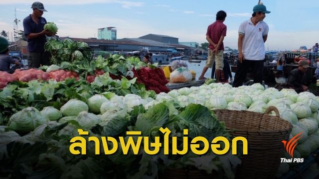 “หมอธีระวัฒน์” ยืนยันสารพิษในผักผลไม้ 60% ล้างไม่ออก!