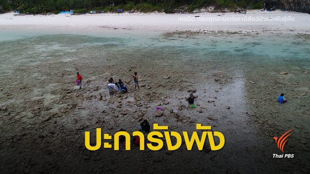 ปะการังพัง-ชายหาดทรุด เหตุผลปิดฟื้นฟู "อ่าวมาหยา" 