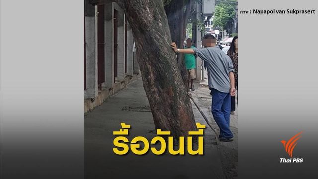 เจ้าของที่สั่งรื้อปูนเททับโคนต้นไม้ ซ.สุขุมวิท จ่อยกที่ให้ กทม.