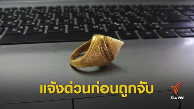 หลัง 29 พ.ย.นี้ครอบครอง “แหวนปลาโรนิน” ถูกปรับ 4 หมื่น