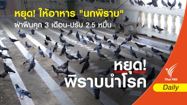หยุด! ให้อาหาร "นกพิราบ" ฝ่าฝืนคุก 3 เดือน-ปรับ 2.5 หมื่น 