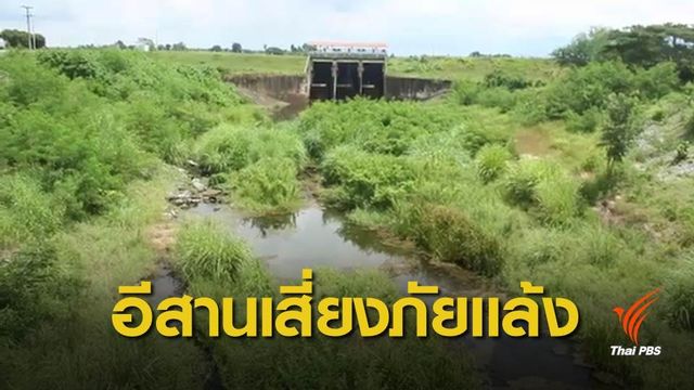 โคราช อุดรธานี “ฝนทิ้งช่วง” กระทบนาข้าว-น้ำประปา