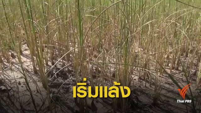 เร่งทำฝนหลวงเติมน้ำเขื่อนก่อนหมดฤดูฝน