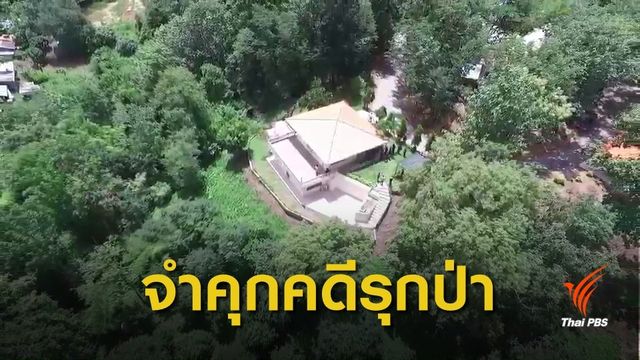 ศาลตัดสิน "อดีต ผอ.สำนักอุทยาน" รุกป่า คุก 3 เดือน รอลงอาญา 