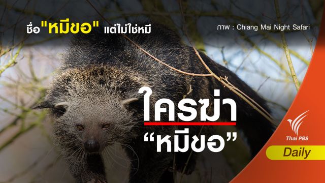 ชื่อ "หมีขอ" แต่ไม่ใช่หมี 