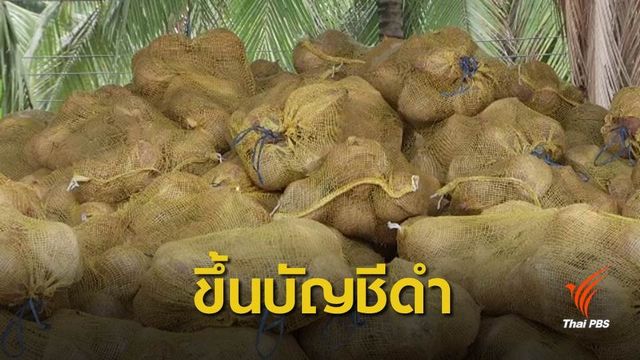 เตรียมขึ้นบัญชีดำบริษัทนำเข้ามะพร้าวไม่แจ้งข้อมูล