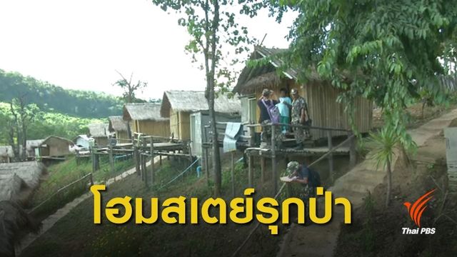 รื้อโฮมสเตย์รุกป่าเชียงดาว