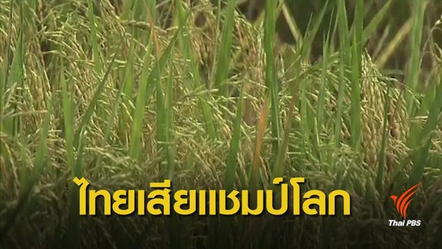อุตสาหกรรมข้าวไทยไม่ปรับตัวอาจถูกเพื่อนบ้านแซง