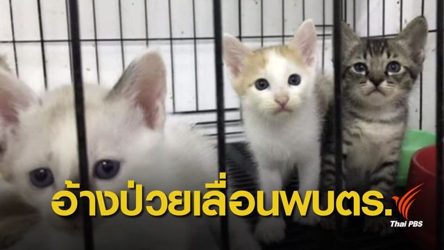 "ดีเจซัน" ขอเลื่อนเข้าพบตำรวจคดีทารุณแมว