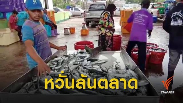เรือประมงร้องรัฐบาลยกเลิกเปิดนำเข้าเสรีสัตว์น้ำต่างประเทศ