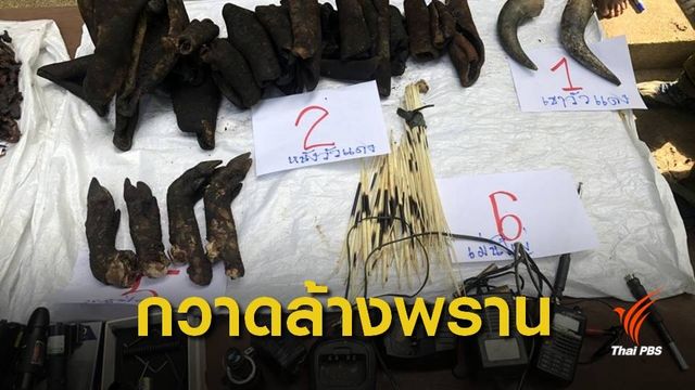 กวาดล้าง "พราน" แฝงอาศัยแพ แอบล่าสัตว์ในเขื่อนศรีนครินทร์