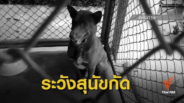 ชายวัย 65 เสียชีวิตจากโรคพิษสุนัขบ้า เป็นคนที่ 17 ของปีนี้้