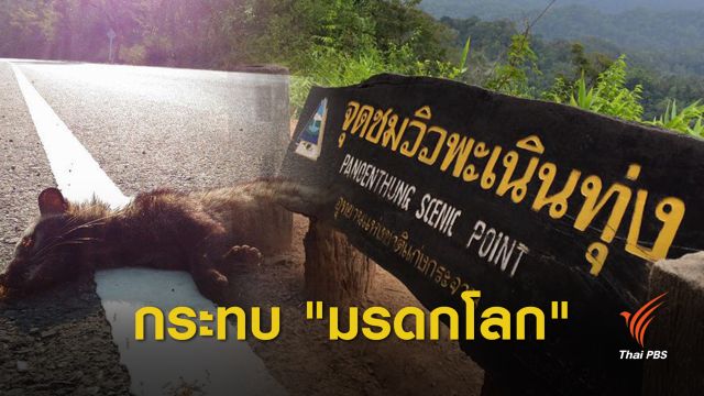 5 พ.ย.นี้เคลื่อนทัพค้านถนนพะเนินทุ่ง ห่วงกระทบ "มรดกโลก"