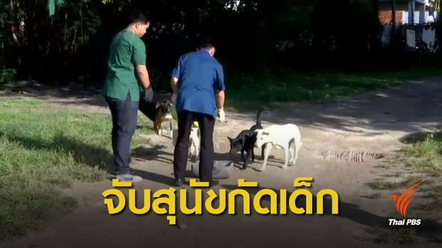 จนท.จับสุนัขจรจัดรุมกัดเด็ก 1 ขวบ