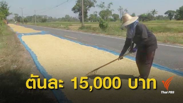 ชาวนาเฮ ราคาข้าวเปลือกพุ่งสูง 