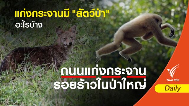 แก่งกระจานมี "สัตว์ป่า" อะไรบ้าง