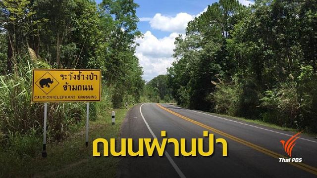 ย้อนรอยขยายถนนผ่านป่า