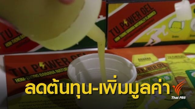 ม.ธรรมศาสตร์ เผยงานวิจัยกล้วยหอมทองครบวงจร