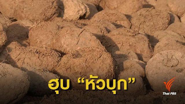 "บุกไทย" เตรียมจ่อคิวถูกทุนจีนสอย