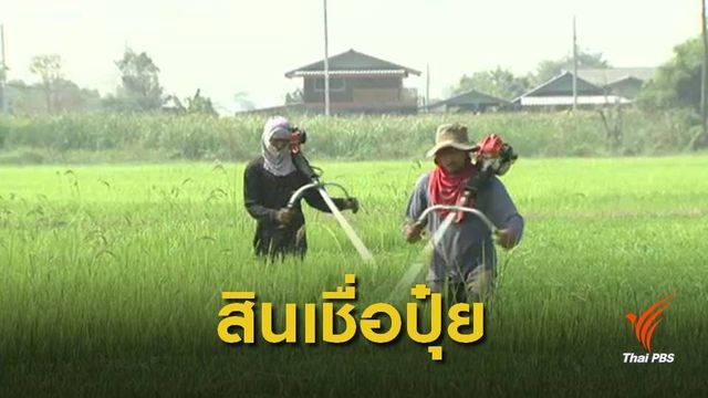 ชง ครม.เสนอ "ปุ๋ยประชารัฐ"ลดราคา 30 % เอาใจเกษตรกร  