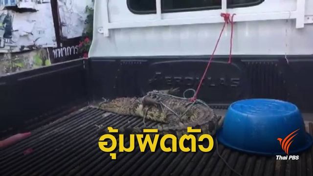 ตามหาเจ้าของ! หญิงกระบี่อุ้มจระเข้ผิดตัวกลับบ้าน