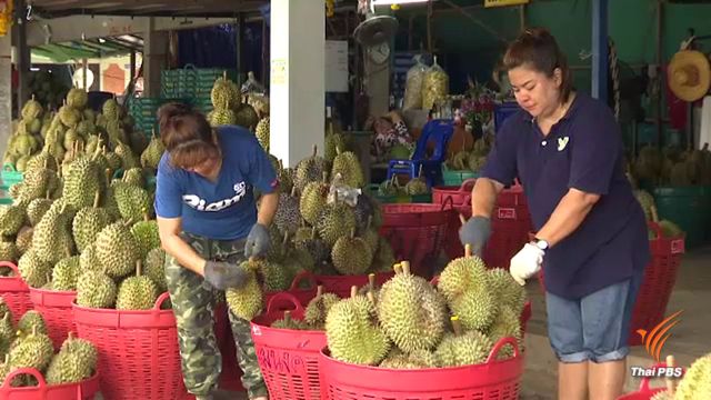 พณ.ติวเกษตรกรรับอาลีบาบา เตรียมขายลำไย-มังคุดผ่าน Tmall