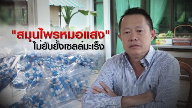 สธ.สรุปผลวิจัย "สมุนไพรหมอแสง"ไม่ยับยั้งเซลล์มะเร็ง 