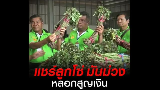 เกษตรกร 25 จังหวัด ร้องดีเอสไอถูกหลอกปลูกมันญี่ปุ่น