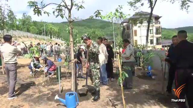 ปลูกต้นไม้ฟื้นฟูป่าบ้านพักตุลาการเชิงดอยสุเทพ