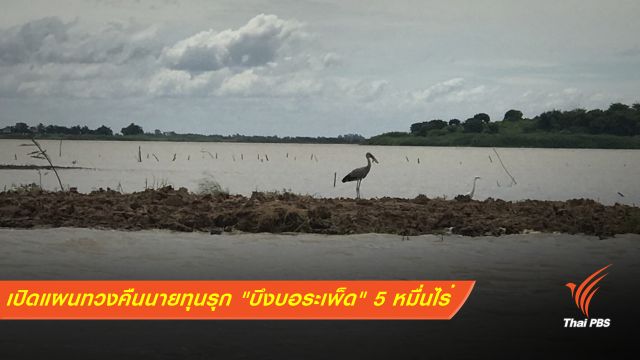 เปิดแผนทวงคืนนายทุนรุก "บึงบอระเพ็ด" 5 หมื่นไร่