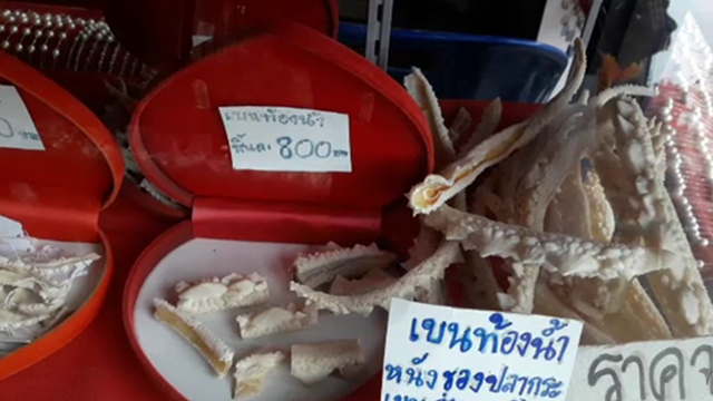 มูลนิธิสืบฯ ติงเสนอข่าว "ของขลัง" สัตว์ป่ากระตุ้นค่านิยมผิดๆ 