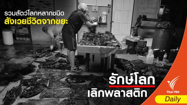 รวมสัตว์โลกหลากชนิด สังเวยชีวิตจากขยะ 