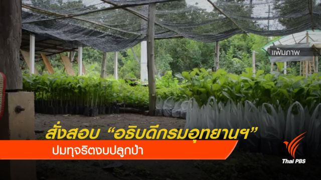 ทส.สั่งสอบ "อธิบดีกรมอุทยานฯ" ปมทุจริตงบปลูกป่า