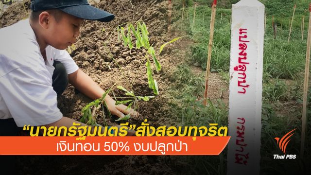 "นายกรัฐมนตรี"สั่งตรวจสอบเงินทอนทุจริตเพาะกล้าไม้ 