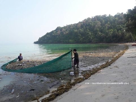 "แพขยะ" ลอยเกลื่อนหาดเกาะทะลุ ห่วงกระทบปะการัง 