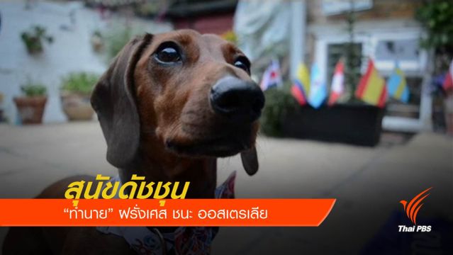 สุนัขดัชชุน กินอาหารท้องถิ่น “ทำนาย” ฝรั่งเศส ชนะ ออสเตรเลีย