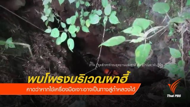 พบโพรงบริเวณผาฮี้อาจเจาะเป็นทางสู่ถ้ำหลวงได้ 
